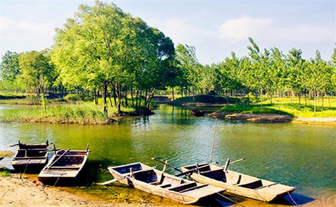 枣庄台儿庄湿地公园距离台儿庄古城有多远