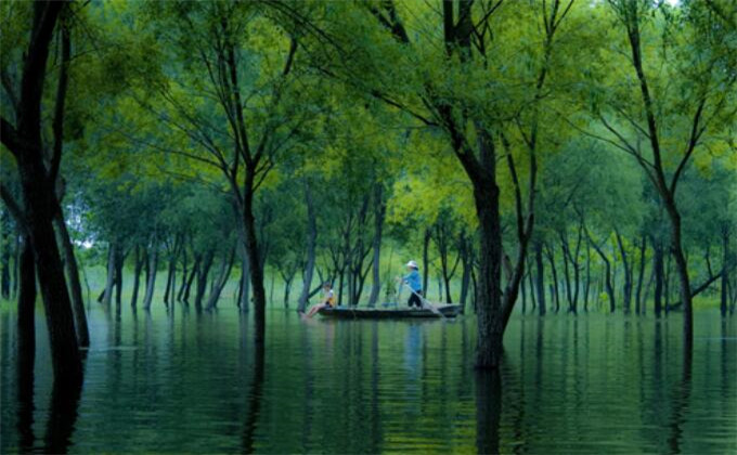 台儿庄国家运河湿地公园自驾