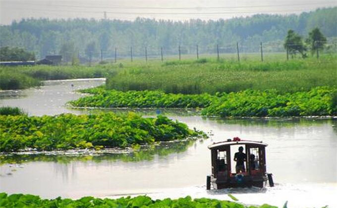 台儿庄国家运河湿地公园自驾游多少钱