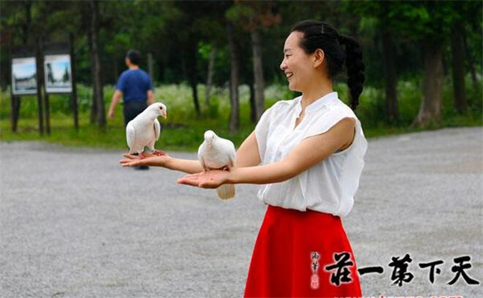 龟山汉墓周边景点台儿庄古城_龟山汉墓周边景点