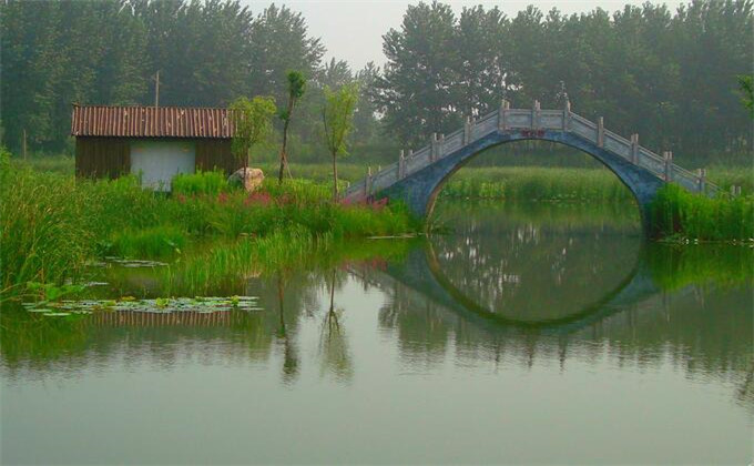 台儿庄运河湿地公园