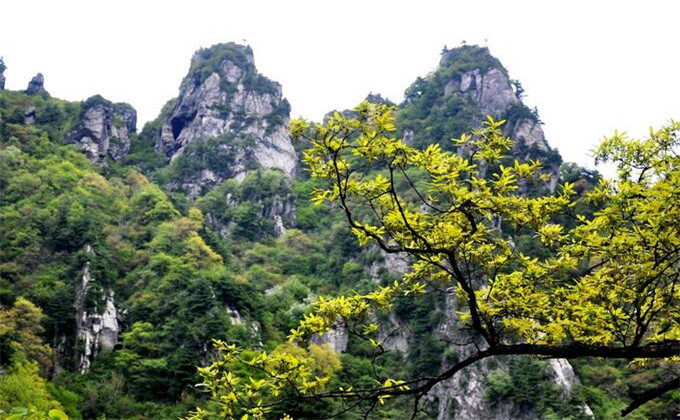 枣庄熊耳山门票多少钱